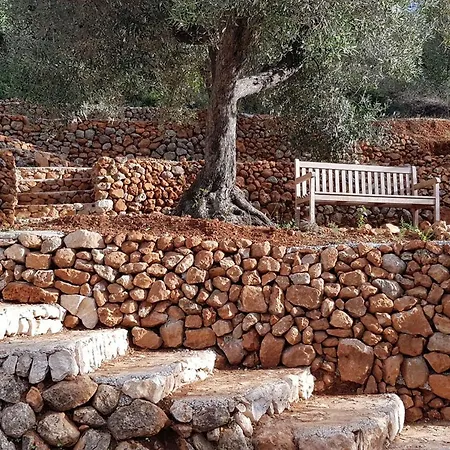 Foia Vella 4*