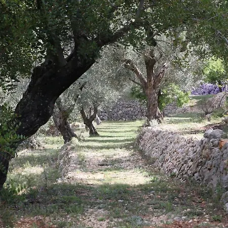 Foia Vella - Adults Only Bed & Breakfast 4*